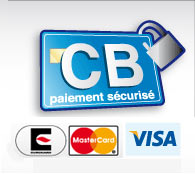 Payment of the orders